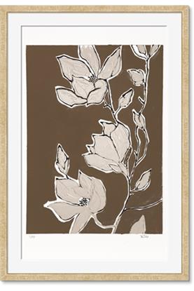 Picture of Shadowed Petals