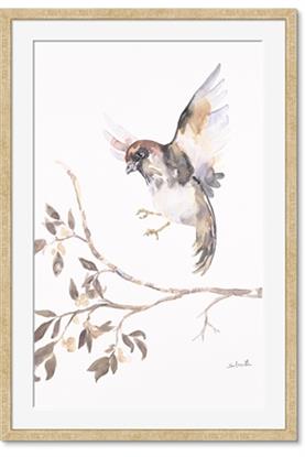 Picture of Botanical Fragment
