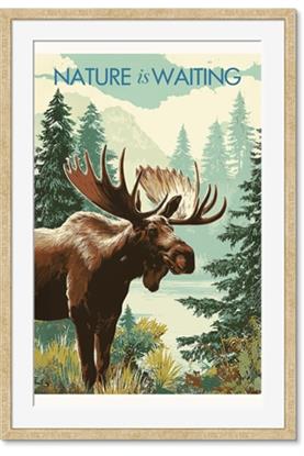 Picture of Nature is Waiting