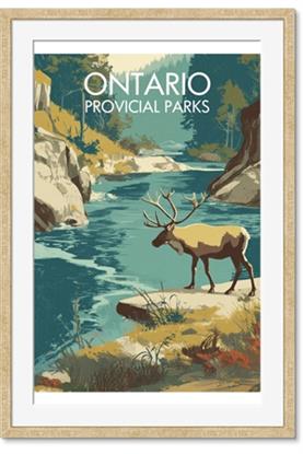 Picture of True North Trails