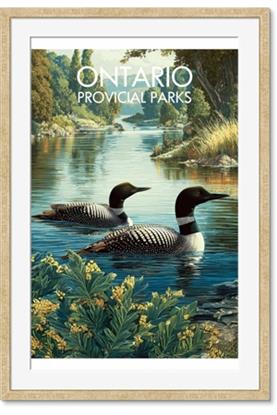 Picture of Still Waters, Wild Shores