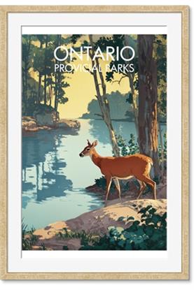 Picture of Reflections of the Wild